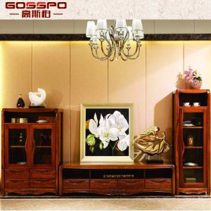 Modern Solid Wooden TV Cabinet with Side Showcase (GSP13-001)
