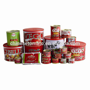 Wholesale Gino Quality 2.2 Kg Tomato Sauce in Normal Open Tin From China Supplier
